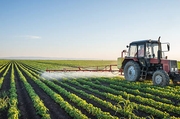 Agriculture field