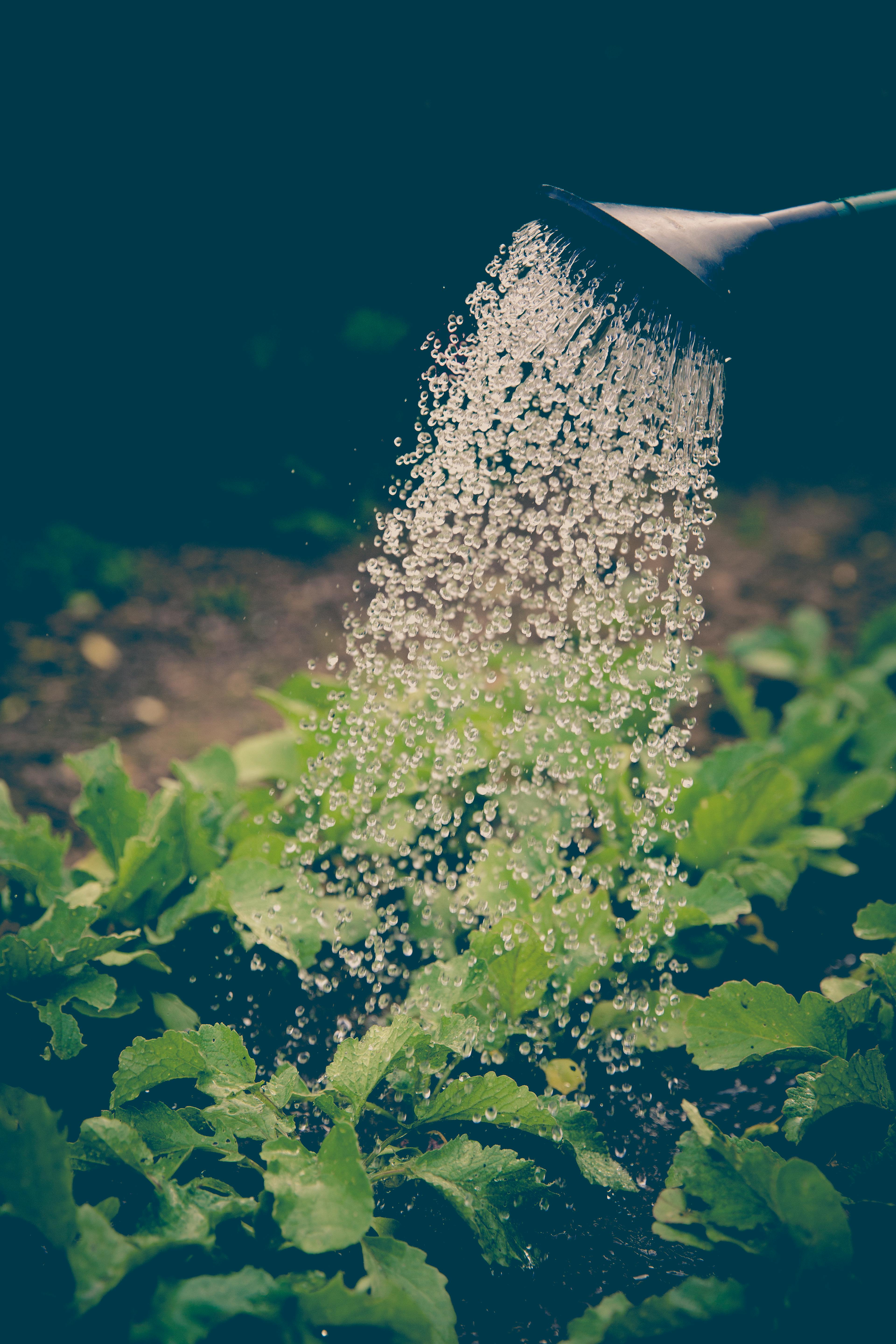 Agriculture background